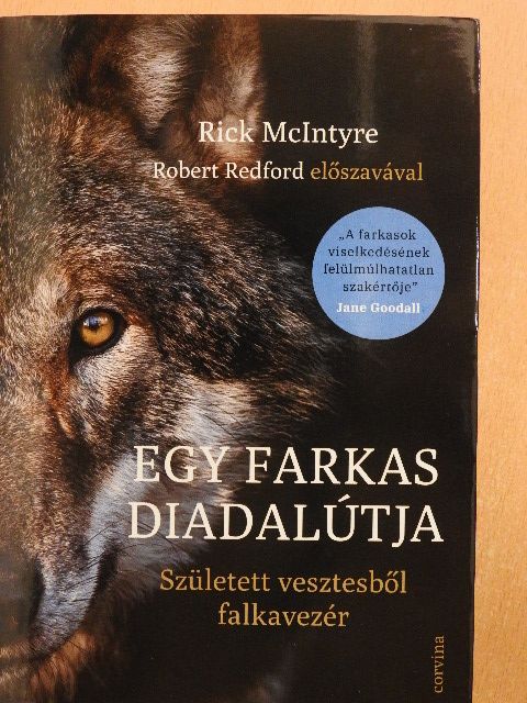 Rick McIntyre - Egy farkas diadalútja [antikvár]