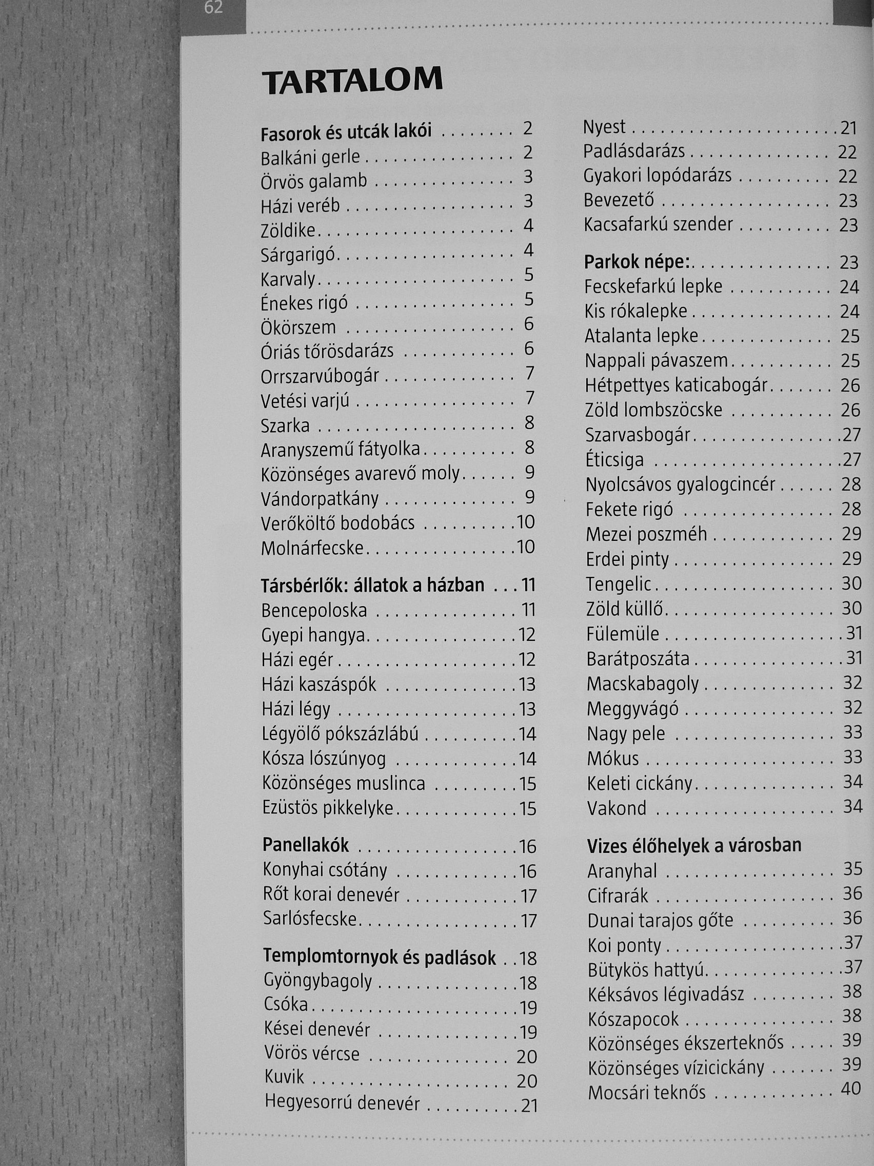 Bakó Krisztián - Városi vadvilág [antikvár]