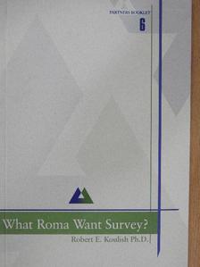 Ph.D. Robert E. Koulish - What Roma Want Survey? [antikvár]