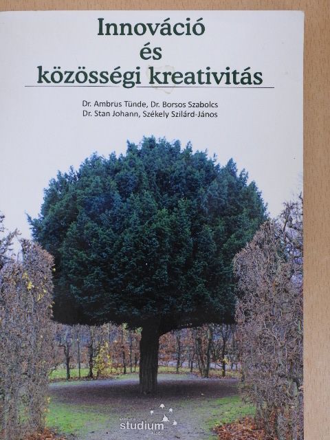 Dr. Ambrus Tünde - Innováció és közösségi kreativitás [antikvár]