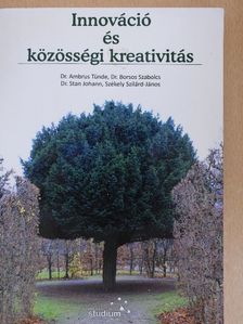 Dr. Ambrus Tünde - Innováció és közösségi kreativitás [antikvár]