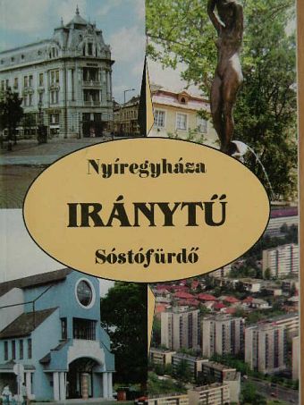Dr. Vincze István - Iránytű [antikvár]