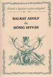 Bányai József (szerk.) - Balkay Adolf és Hönig István [antikvár]