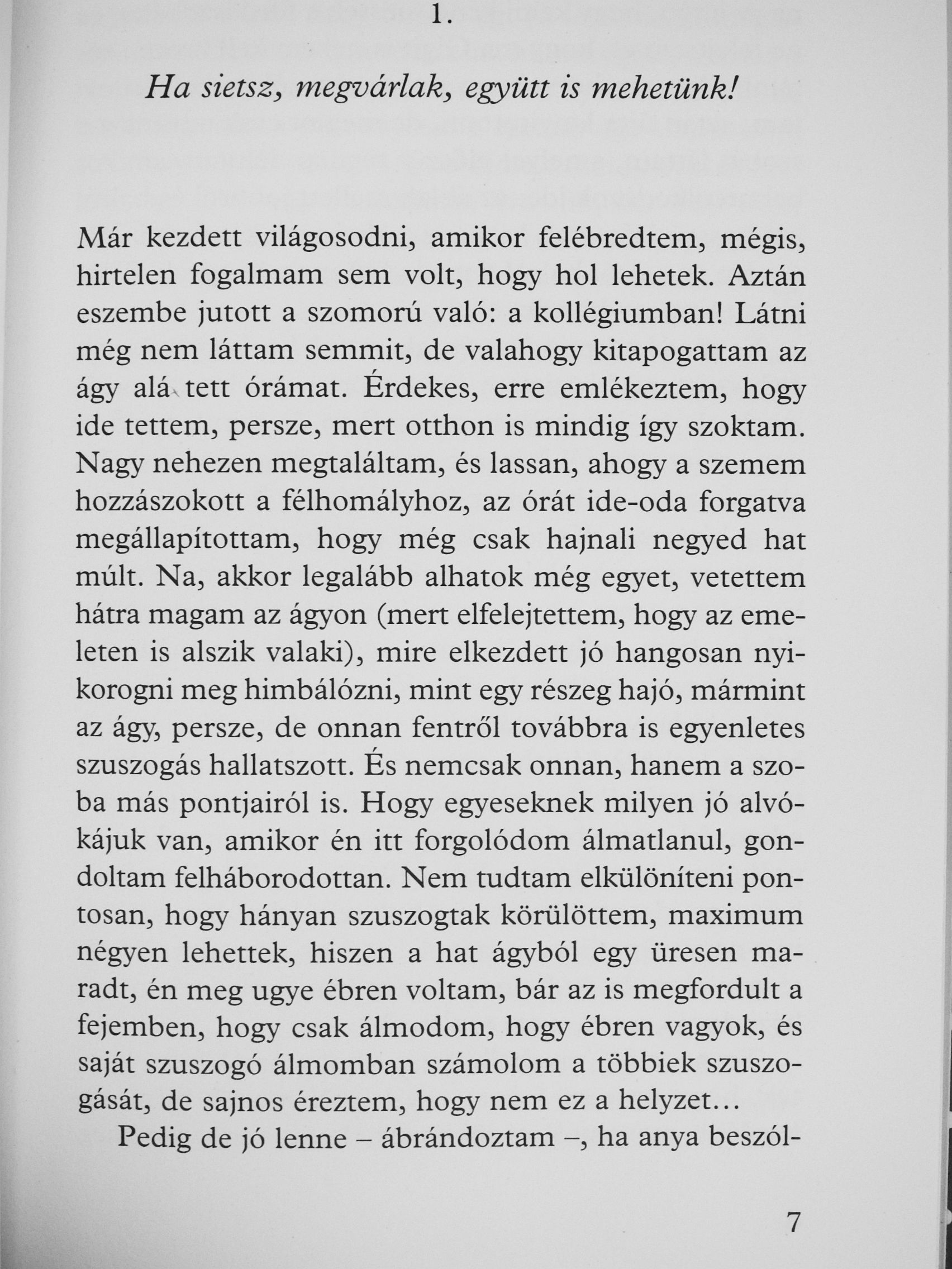Turbuly Lilla - Kosársuli [antikvár]