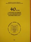 Balipap Ferenc - 40 éves a közművelődési szakemberképzés Szombathelyen (aláírt példány) [antikvár]