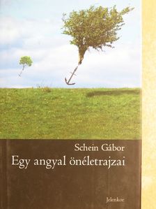 Schein Gábor - Egy angyal önéletrajzai [antikvár]
