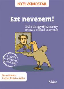 Csájiné Knézics Anikó - Ezt nevezem! - Feladatgyűjtemény Bosnyák Viktória könyvéhez [antikvár]