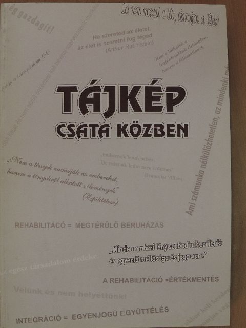 Tájkép csata közben [antikvár]