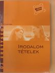 Kállay G. Katalin - Irodalom tételek [antikvár]