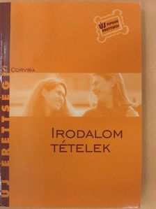 Kállay G. Katalin - Irodalom tételek [antikvár]
