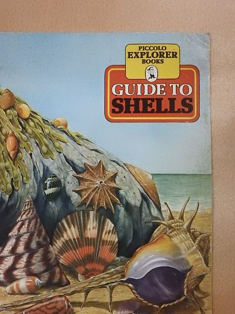 Jennifer Cochrane - Guide to Shells [antikvár]