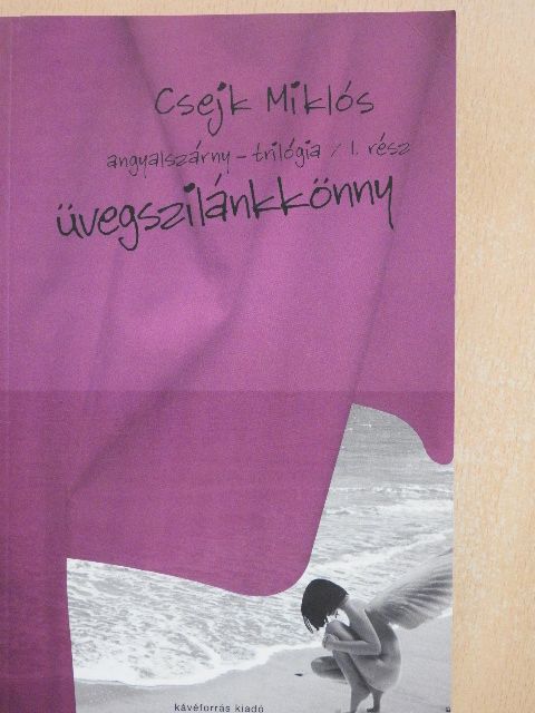 Csejk Miklós - Üvegszilánkkönny [antikvár]