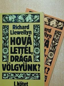 Richard Llewellyn - Hová lettél, drága völgyünk? I-II. [antikvár]