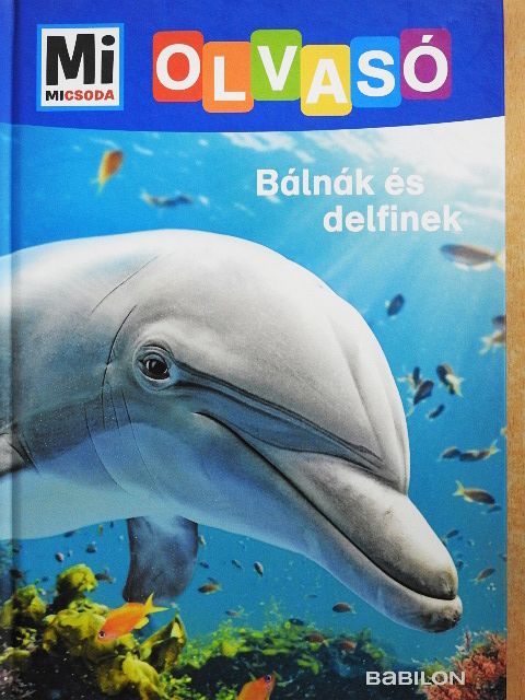 Christina Braun - Bálnák és delfinek [antikvár]