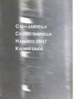 Cseh Gabriella, Csoszó Gabriella, Hamarits Zsolt, Kalmár Lajos [antikvár]