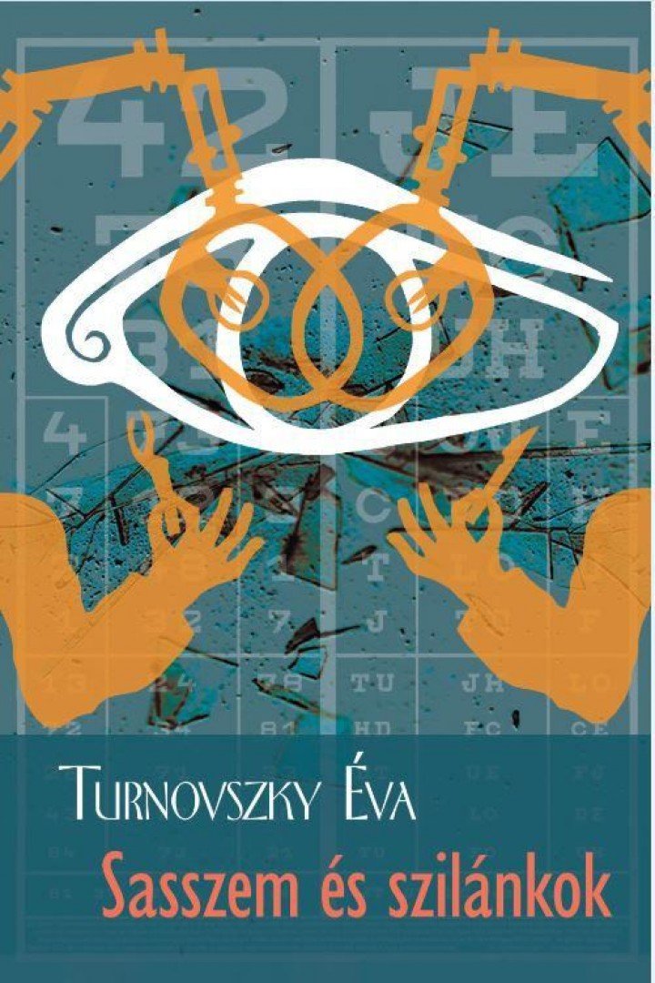 Turnovszky Éva - Sasszem és szilánkok [antikvár]