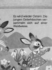 Brigitte Noder - Pfiffikus, der kleine Osterhase [antikvár]