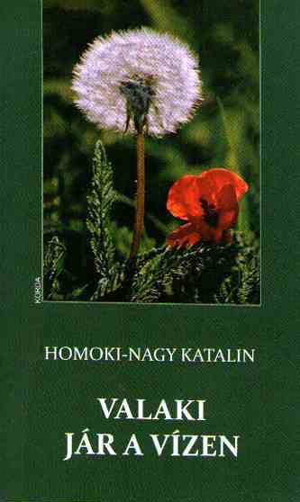 Homoki Nagy Katalin - Valaki jár a vízen