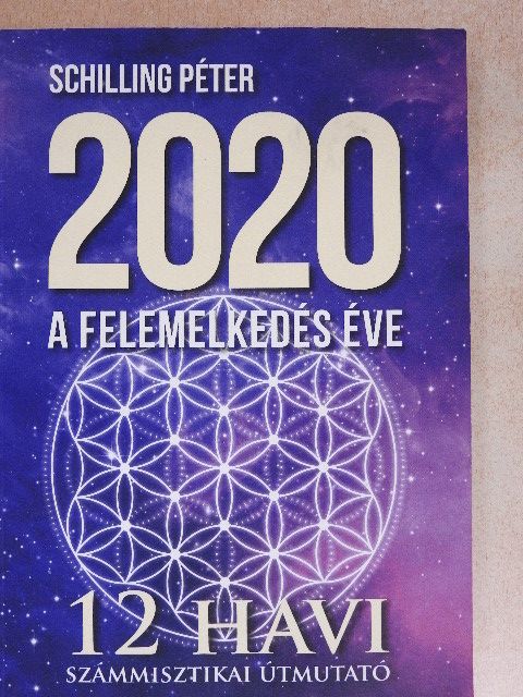 Schilling Péter - 2020 - A felemelkedés éve [antikvár]