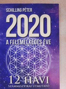Schilling Péter - 2020 - A felemelkedés éve [antikvár]