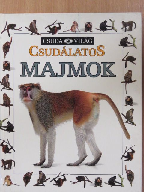Scott Steedman - Csudálatos majmok [antikvár]