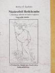 Barlay Ö. Szabolcs - Názáretből Betlehembe [antikvár]