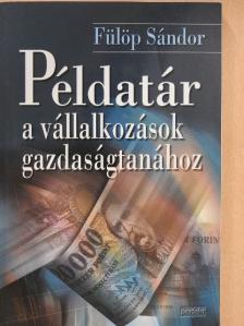 Fülöp Sándor - Példatár a vállalkozások gazdaságtanához [antikvár]