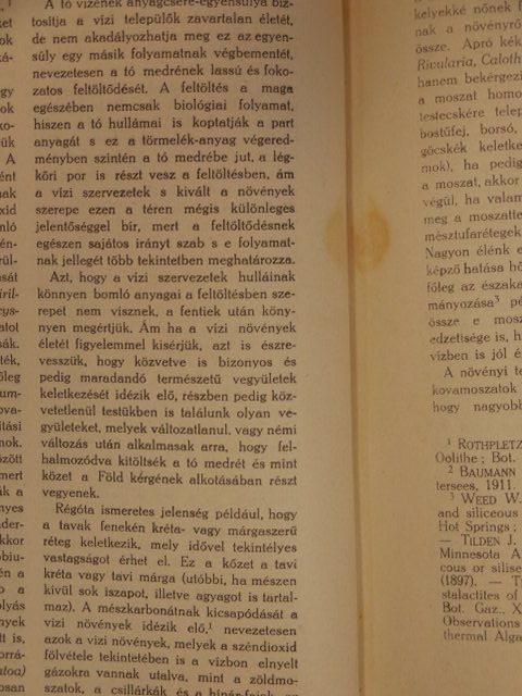 Andriska V. - Természettudományi Közlöny 1923. január-december/Pótfüzetek a Természettudományi Közlönyhöz 1923. január-december [antikvár]