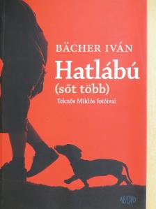 Bächer Iván - Hatlábú [antikvár]