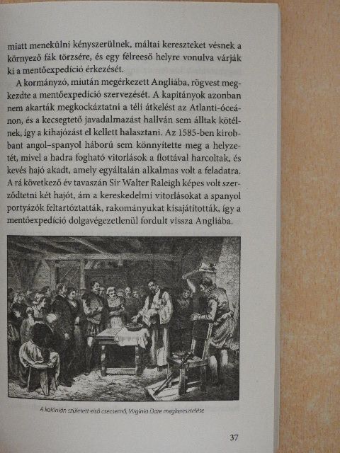 Torrente del Bosque - A gyarmatosítás véres története [antikvár]
