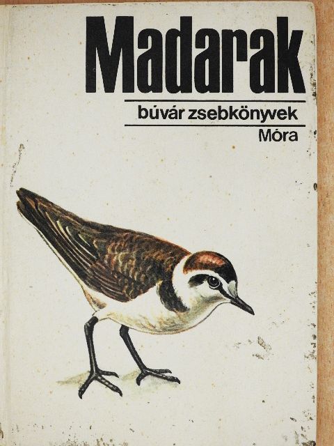 Dr. Keve András - Madarak [antikvár]