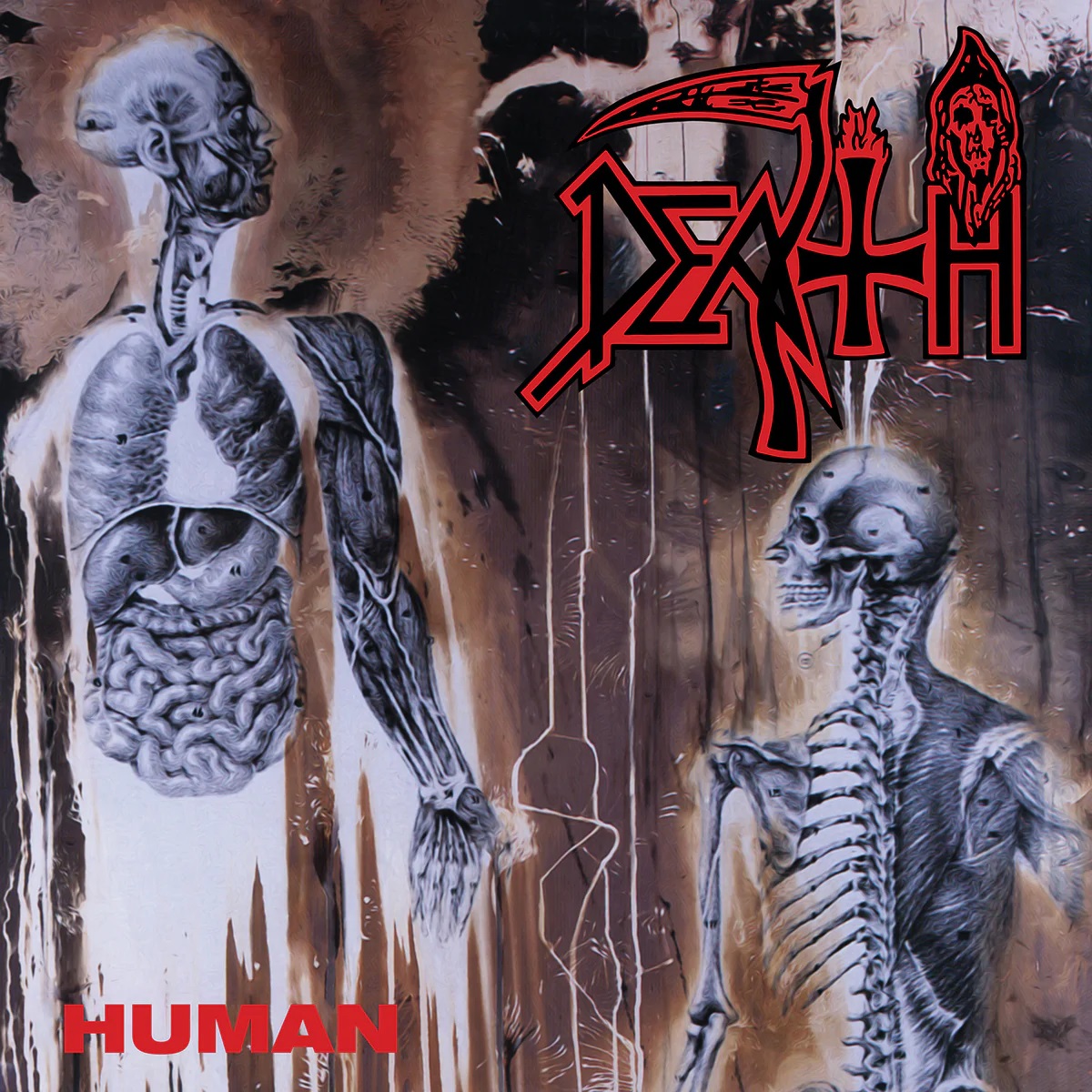 HUMAN LP