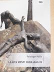 Reisinger Attila - A Lajta menti forradalom [antikvár]