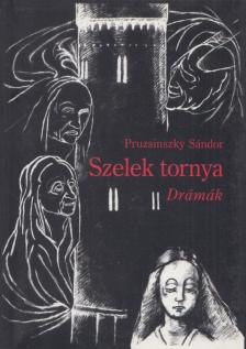 Pruzsinszky Sándor - Szelek tornya [antikvár]