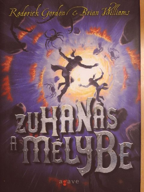 Brian Williams - Zuhanás a mélybe [antikvár]