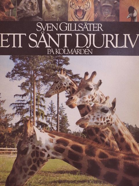 Sven Gillsäter - Ett sant djurliv pa kolmarden [antikvár]