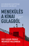 Haitivaji Gulbahar - Menekülés a kínai Gulagból - Egy ujgur fogoly megrázó vallomása [eKönyv: epub, mobi]