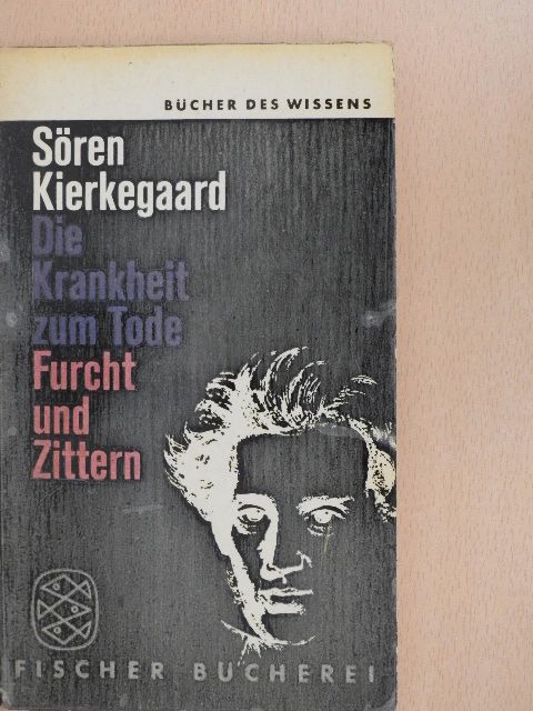 Sören Kierkegaard - Die Krankheit zum Tode Furcht und Zittern [antikvár]