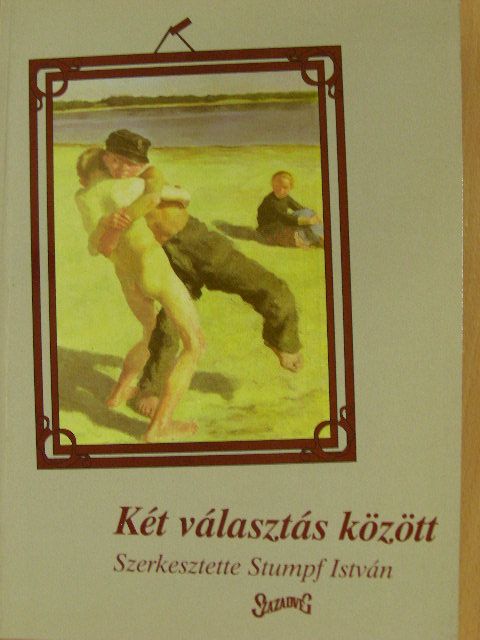 Angelusz Róbert - Két választás között [antikvár]