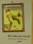 Angelusz Róbert - Két választás között [antikvár]