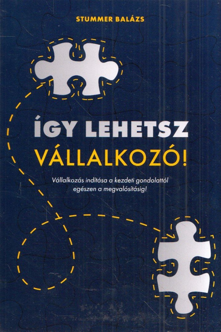 Stummer Balázs - Így lehetsz vállalkozó! [antikvár]
