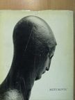 Zeljko Grum - Ivan Mestrovic [antikvár]