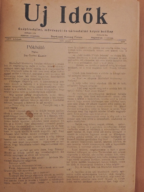 Gárdonyi Lajos - Uj Idők 1919. (nem teljes évfolyam) [antikvár]