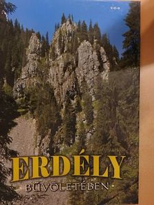 Erdély bűvöletében [antikvár]