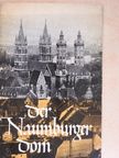 Ernst Schubert - Führer Durch den Naumburger Dom [antikvár]