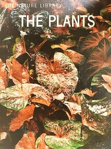 Frits W. Went - The Plants [antikvár]