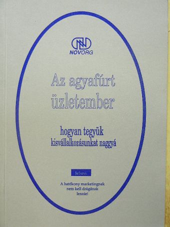 Az agyafúrt üzletember [antikvár]
