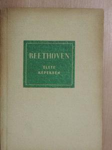 Richard Petzoldt - Ludwig van Beethoven élete képekben [antikvár]
