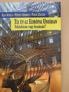 Ágh Attila - Tíz év az Európai Unióban [antikvár]
