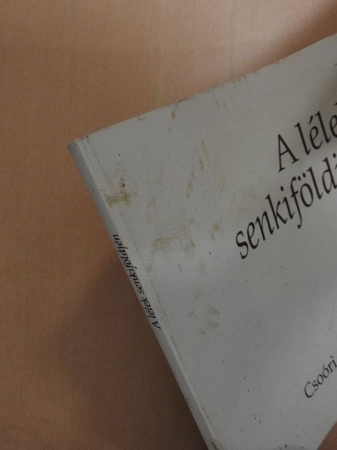 Ágh István - A lélek senkiföldjén [antikvár]